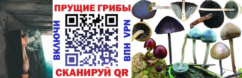 Купить где  Канаш  Галлюциногенные грибы мухоморы 
